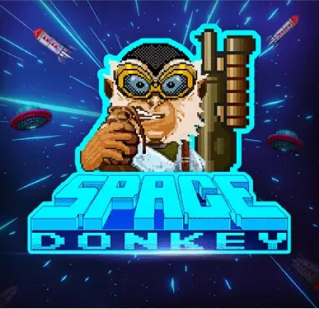 Space Donkey